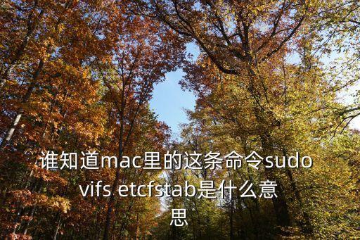誰知道m(xù)ac里的這條命令sudo vifs etcfstab是什么意思
