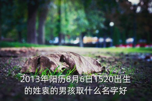 袁聰，哪個(gè)可以給我出 袁聰我愛(ài)你 的謎底給我  急