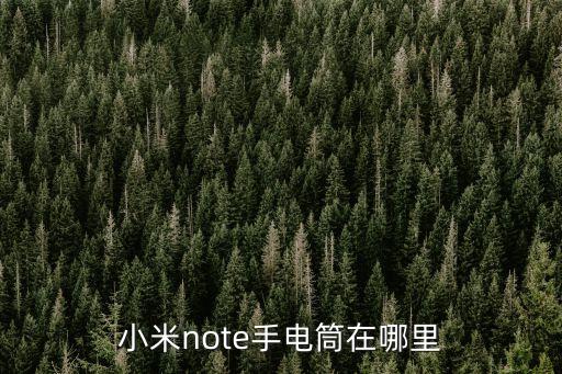 小米手電筒，小米note手電筒在哪里