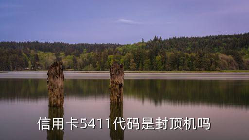 信用卡5411代碼是封頂機(jī)嗎