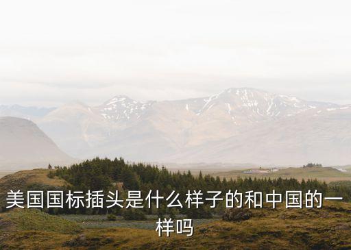 美規(guī)插頭圖片，英標(biāo)插頭和美標(biāo)插頭有什么區(qū)別