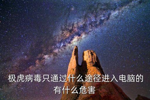  極虎病毒只通過(guò)什么途徑進(jìn)入電腦的有什么危害