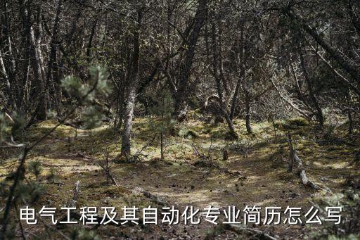 電氣自動(dòng)化銷售職責(zé)描述,電氣自動(dòng)化工程師崗位職責(zé)怎么寫?