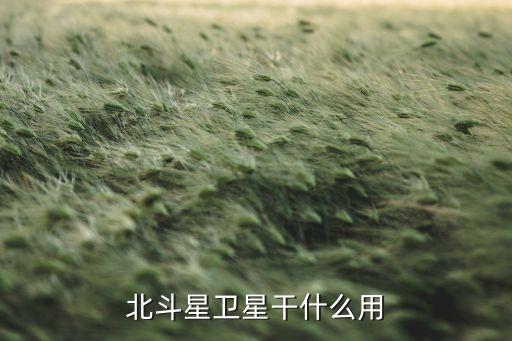 北斗是什么，bemo是什么