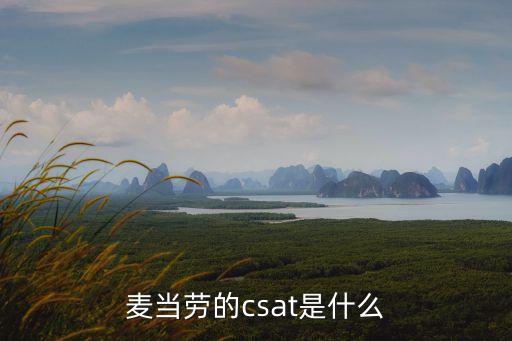 麥當(dāng)勞的csat是什么