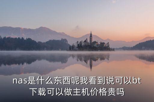 nas網(wǎng)絡(luò)存儲(chǔ)，nas 是什么別人說給我路徑具體是怎么用的