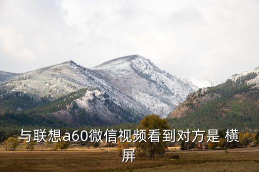 dex station自動(dòng)橫屏