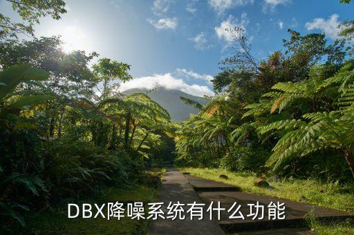 DBX降噪系統(tǒng)有什么功能