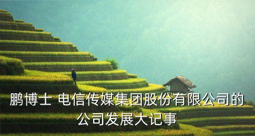 鵬博士 電信傳媒集團(tuán)股份有限公司的公司發(fā)展大記事