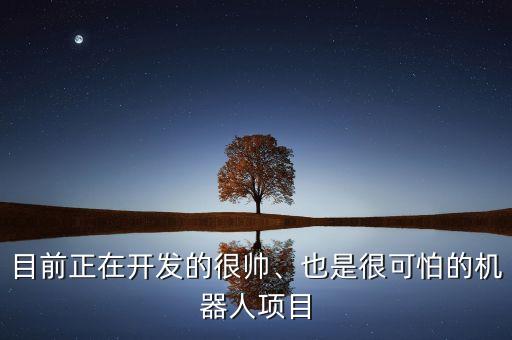 目前正在開發(fā)的很帥、也是很可怕的機器人項目