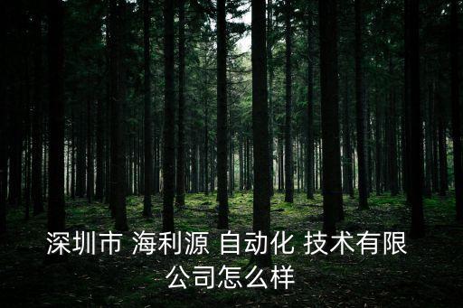 海利源自動化技術(shù)公司