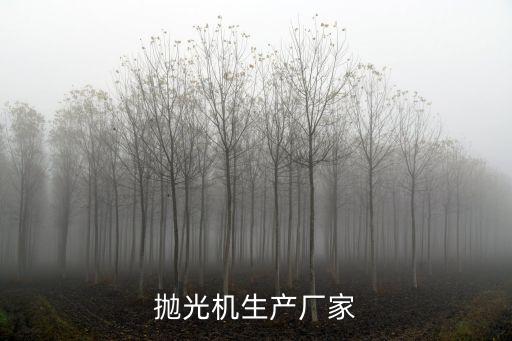 鎖具自動化拋光設(shè)備,自動拋光機(jī)設(shè)備工作原理是什么?