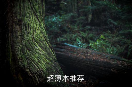 超薄本推薦