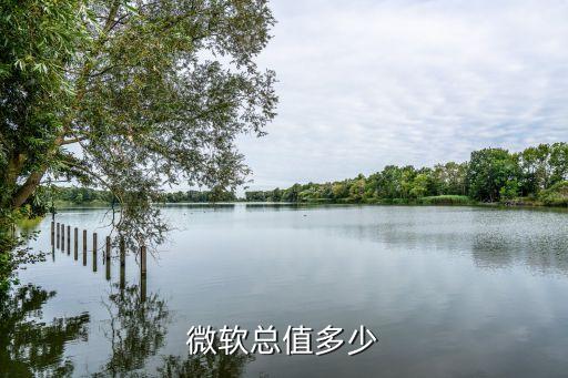 微軟總值多少