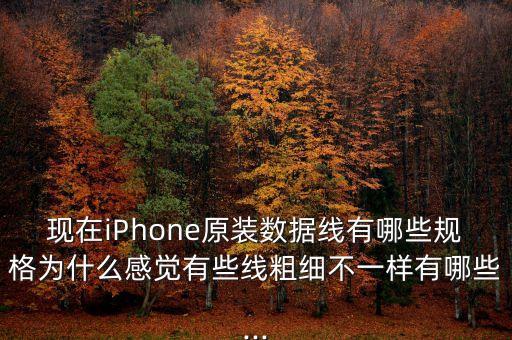 現(xiàn)在iPhone原裝數(shù)據(jù)線有哪些規(guī)格為什么感覺有些線粗細(xì)不一樣有哪些...