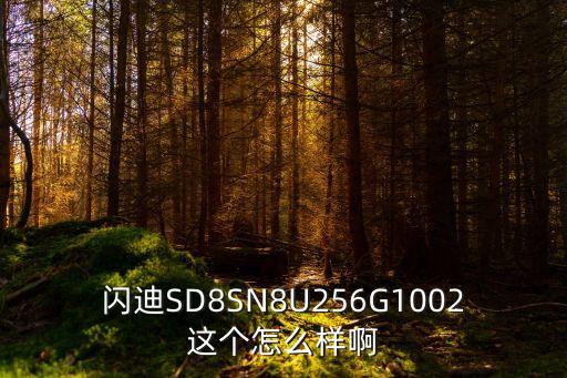 閃迪SD8SN8U256G1002這個(gè)怎么樣啊
