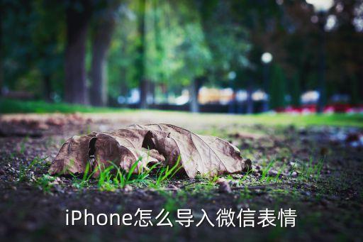 iPhone怎么導(dǎo)入微信表情