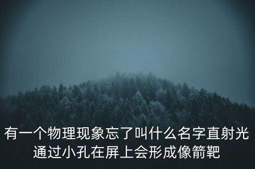 有一個(gè)物理現(xiàn)象忘了叫什么名字直射光通過(guò)小孔在屏上會(huì)形成像箭靶