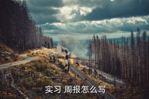 電氣自動(dòng)化技術(shù)崗位實(shí)習(xí)周報(bào)