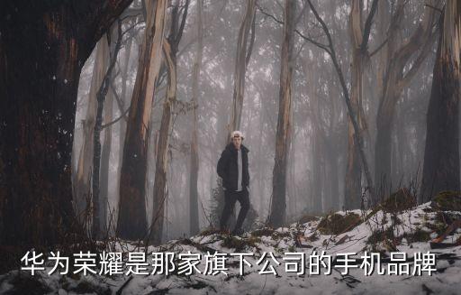 華為榮耀是那家旗下公司的手機(jī)品牌