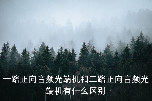 音頻光端機(jī)，音頻光端機(jī)的介紹
