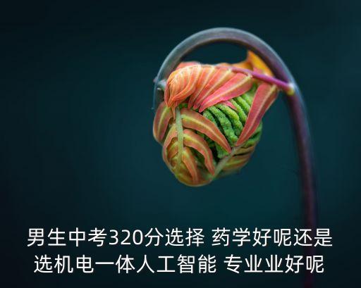 男生中考320分選擇 藥學(xué)好呢還是選機(jī)電一體人工智能 專業(yè)業(yè)好呢