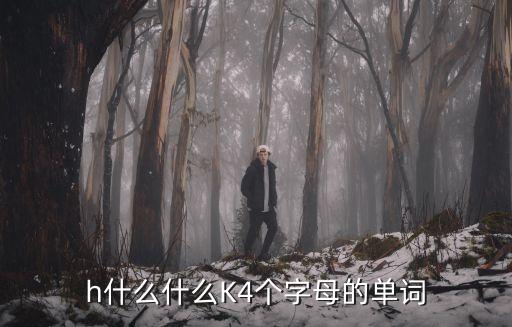 h什么什么K4個(gè)字母的單詞