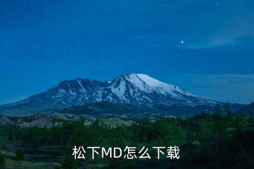 MD播放器，國內(nèi)哪里能買到MD