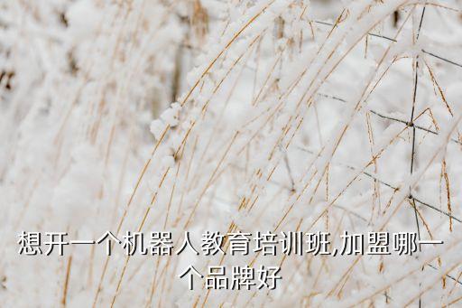 機(jī)器人教育公司怎么開(kāi),什么樣的機(jī)器人教育加盟好?