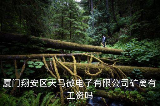 廈門翔安區(qū)天馬微電子有限公司礦離有工資嗎