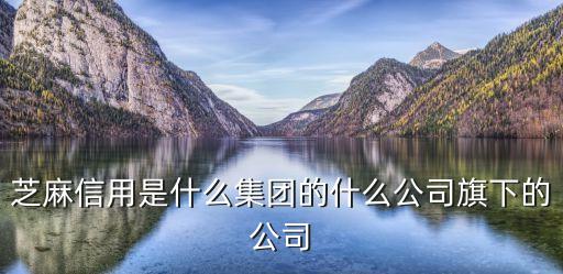 芝麻信用是什么集團(tuán)的什么公司旗下的公司