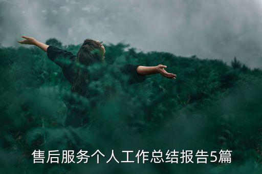  售后服務(wù)個(gè)人工作總結(jié)報(bào)告5篇