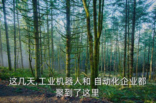 這幾天,工業(yè)機(jī)器人和 自動(dòng)化企業(yè)都聚到了這里