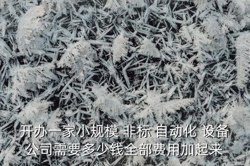 開辦一家小規(guī)模 非標 自動化 設(shè)備公司需要多少錢全部費用加起來