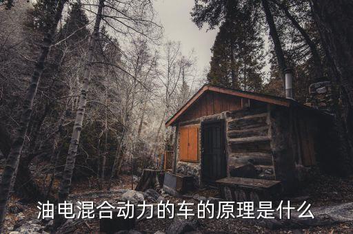 混合動(dòng)力系統(tǒng)，混合動(dòng)力汽車中微混合動(dòng)力系統(tǒng)是什么意思