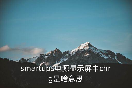 charger是什么意思，personincharger是什么意思