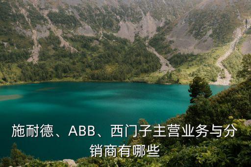 ABB 低壓電氣 自動化,abb在中國有哪些子公司?