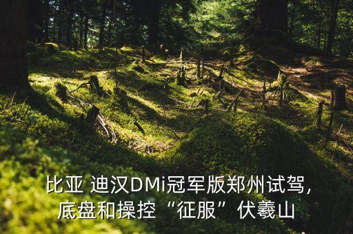 比亞迪漢加工自動化設(shè)備
