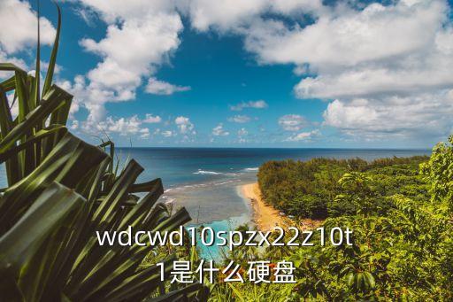 西部數據 x系列,日本和西數數據哪個好?