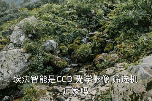 埃法智能是CCD 光學(xué)影像 篩選機廠家嗎
