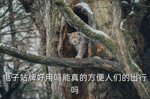電子站牌好用嗎能真的方便人們的出行嗎