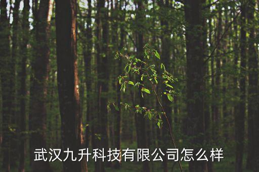 武漢九升科技有限公司怎么樣
