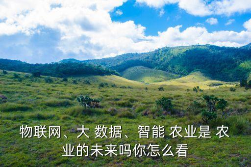 大數(shù)據(jù) 農(nóng)業(yè)