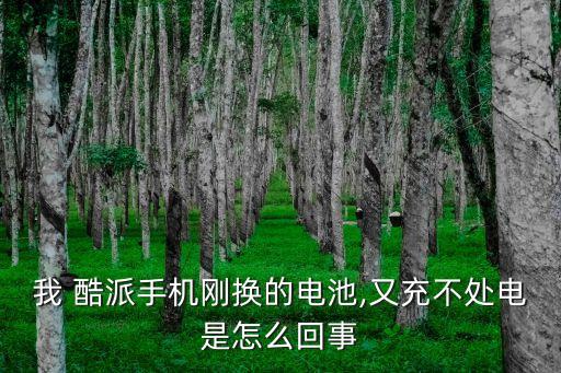 我 酷派手機(jī)剛換的電池,又充不處電是怎么回事