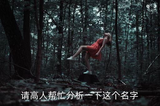 請高人幫忙分析一下這個名字