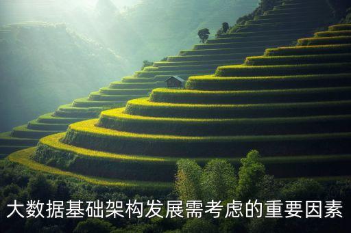 大數(shù)據(jù)基礎(chǔ)架構(gòu)發(fā)展需考慮的重要因素
