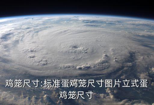 廣東自動化養(yǎng)雞設(shè)備報(bào)價(jià),自動化養(yǎng)雞設(shè)備哪里有?