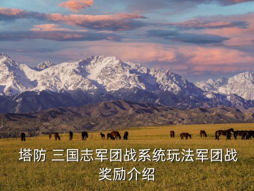 塔防三國志系統(tǒng)檢測到游戲數(shù)據(jù)異常