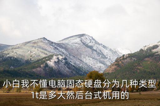固態(tài)硬盤種類，小白我不懂電腦固態(tài)硬盤分為幾種類型1t是多大然后臺式機(jī)用的