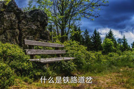 什么是鐵路道岔